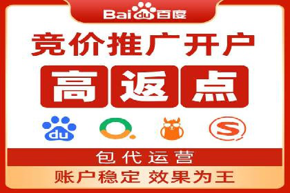 百度竞价代理实战技巧：经典案例深度解读